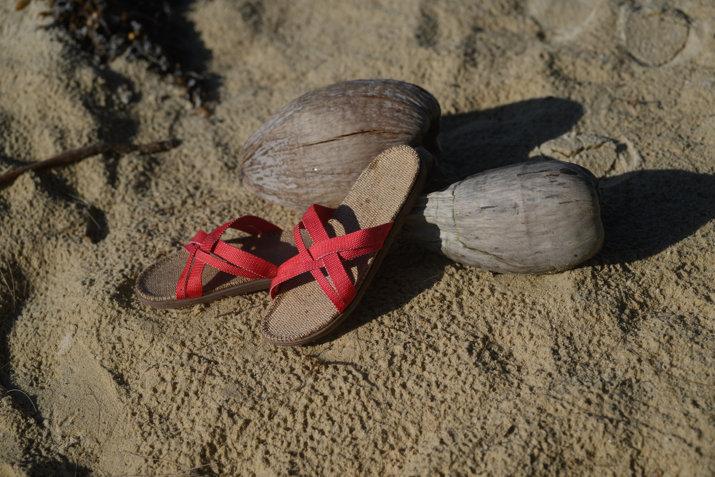 Edition Limitee summer collection 2025 — image 5